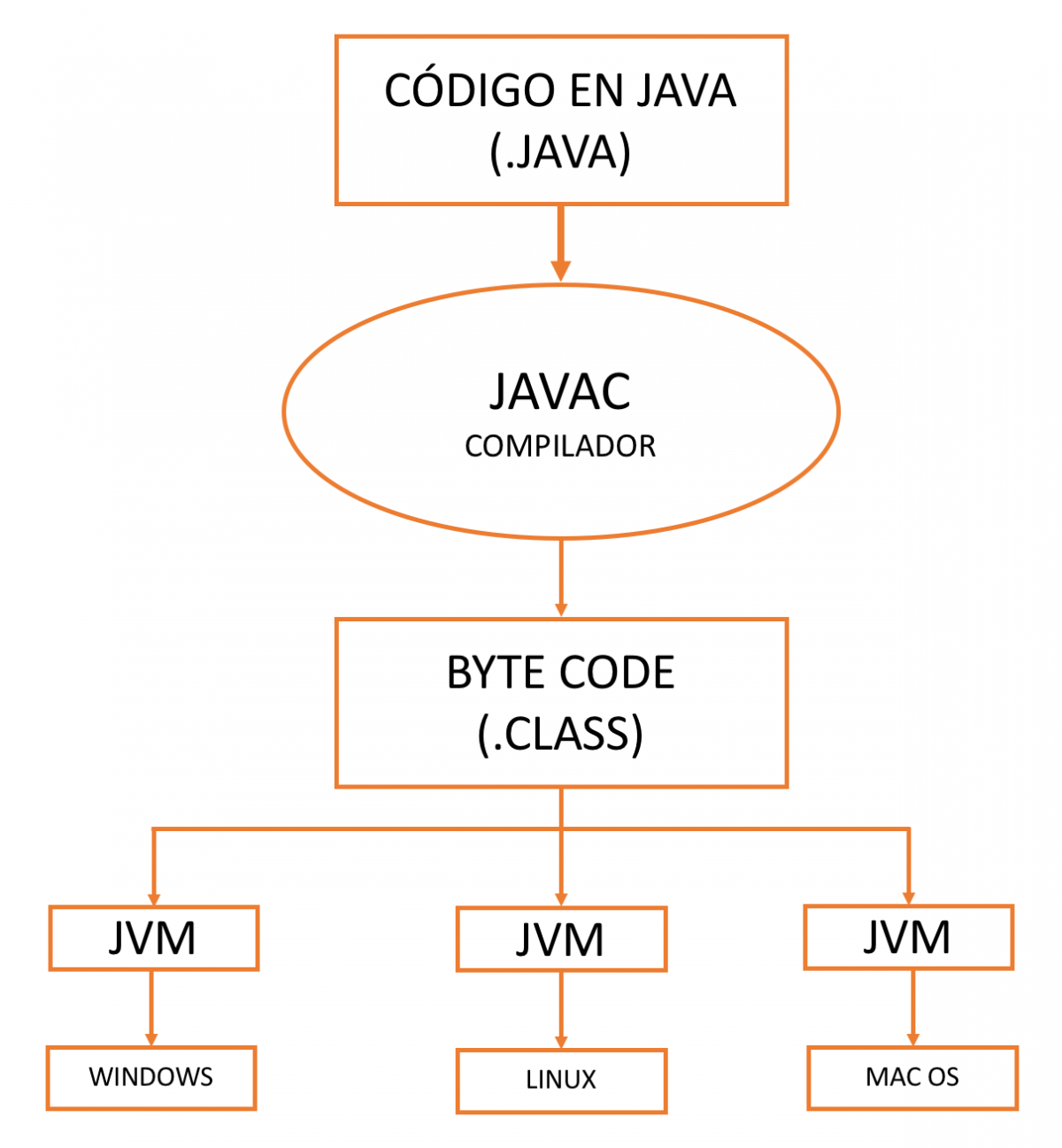 Lenguaje de Programación – Conogasi